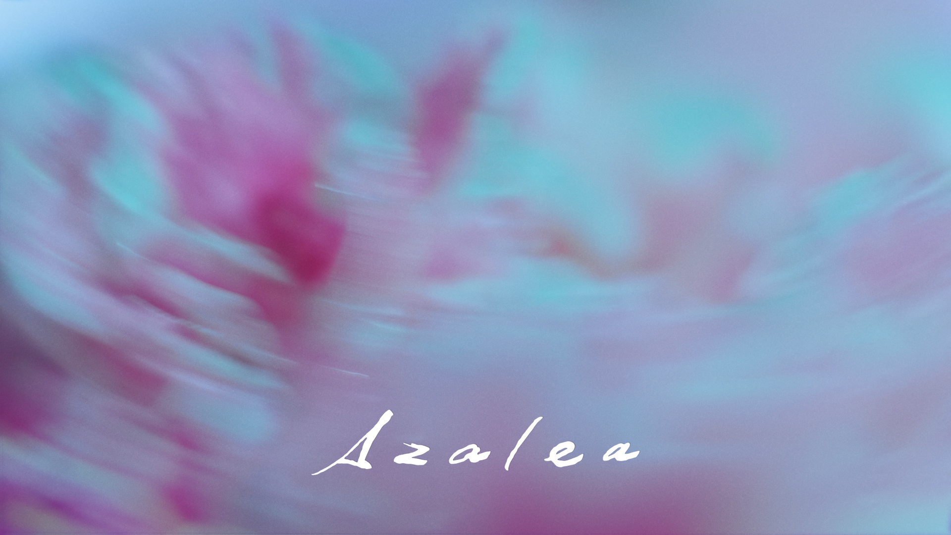 【専用出品】米津玄師 Azalea MV 着用 Azalea」MV公開 | 米津玄師 official site「REISSUE RECORDS」